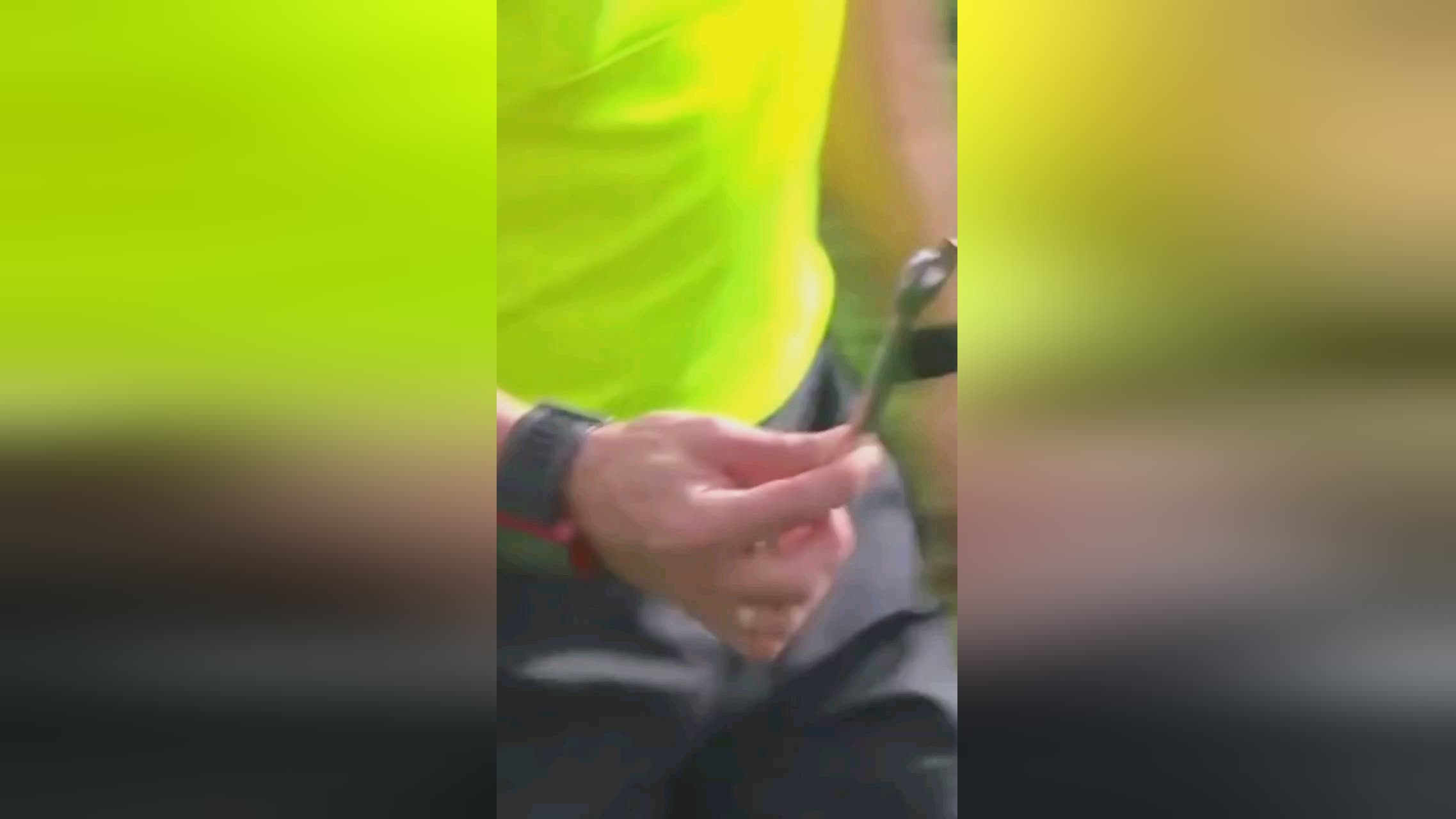 与革新